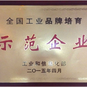 全國(guó)工業(yè)品牌培育示范企業(yè)