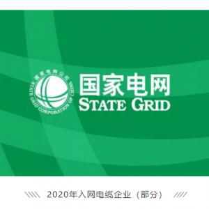 祝賀縱覽線(xiàn)纜集團(tuán)成功進(jìn)入國(guó)家電網(wǎng)供應(yīng)商名錄，成為廣西唯一一家進(jìn)入國(guó)網(wǎng)的電線(xiàn)電纜供 ...