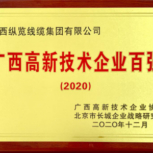 縱覽線纜集團入選“2020年廣西高新技術企業(yè)百強”榜單