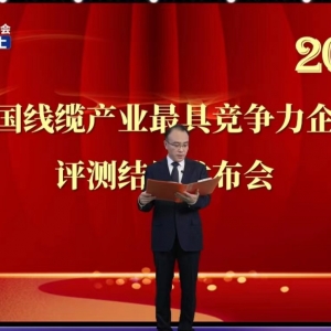 賡續(xù)卓越  勇毅前行——縱覽線纜集團(tuán)再次榮獲2022中國線纜行業(yè)最具競爭力100強(qiáng) ...